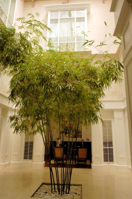 Lobby Area