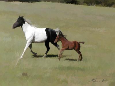Gallop