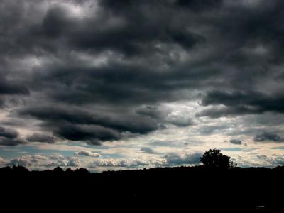 DSCN5458 b s.jpg
