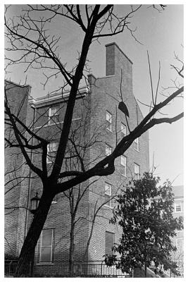 Empty dorm, barren treeby Bryce Roberts