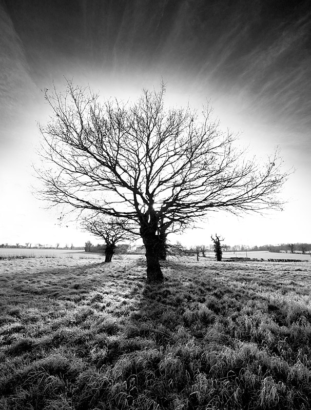 Evening Sunlight by Jono Slack