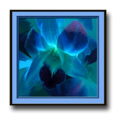 bluefilframe.jpg