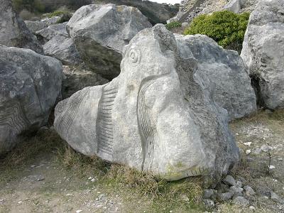 P1010427.jpg