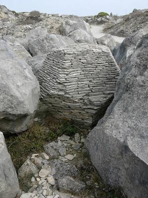 P1010428.jpg