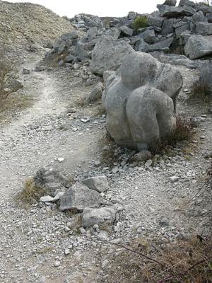 P1010430.jpg