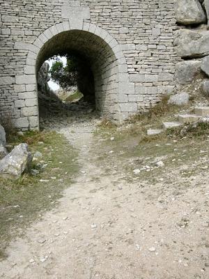 P1010434.jpg