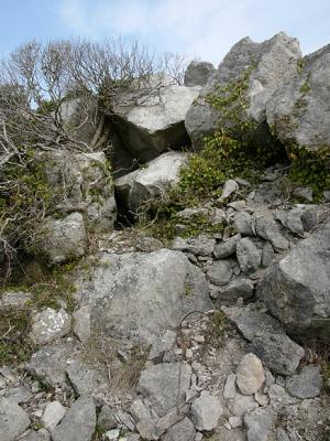 P1010436.jpg