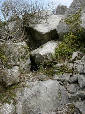 P1010437.jpg