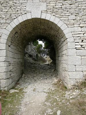 P1010438.jpg