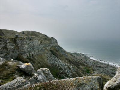 P1010453.jpg