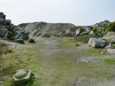P1010471.jpg