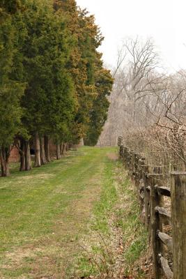 Fence Row