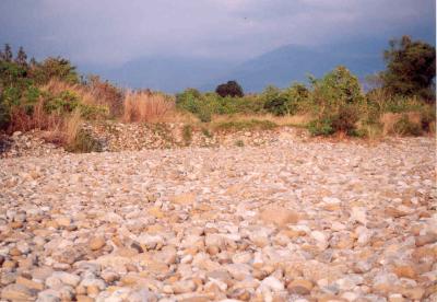 stones