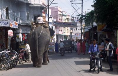 stIN5001_Street_Udaipur.jpg