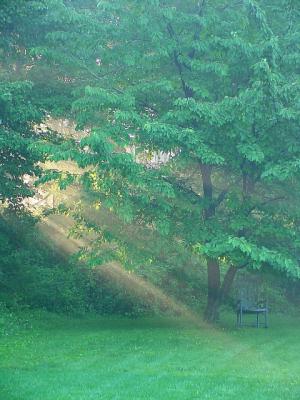 sunbeams'n rocker
