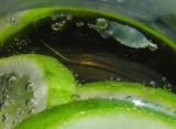 limes in soda, sunlight