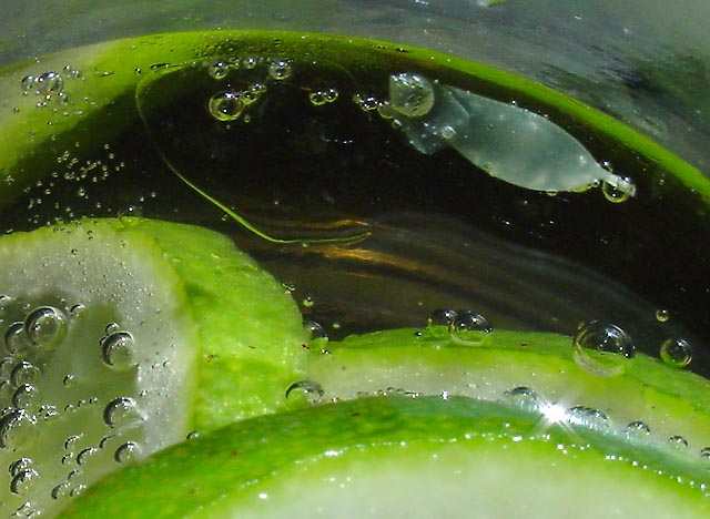 limes in soda, sunlight
