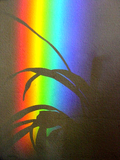 prism rainbow