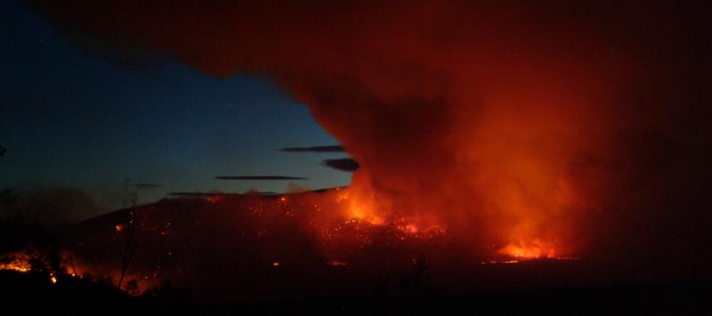 Fire03081611.jpg