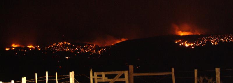 Fire03081704.jpg