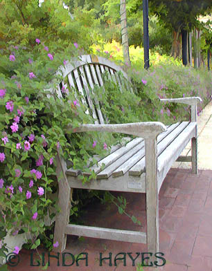 Brookside Bench buZZ