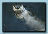 IMG_8068-TW.jpg