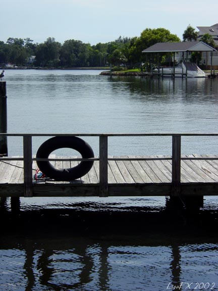 Tire and Dock Reflected wb.JPG