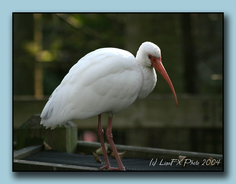 IMG_8251-TW.jpg