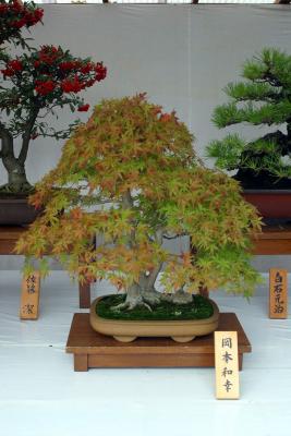 IMG_2647.JPG