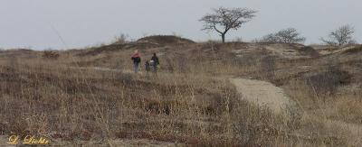 in_the_illiois_dunes_2