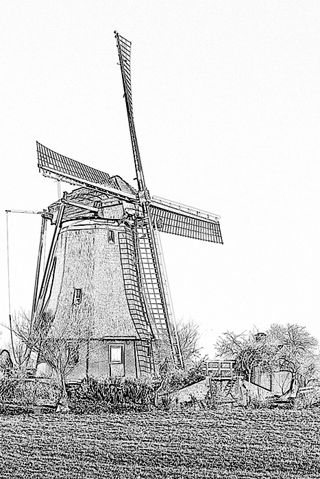 IMG_0860 pencil.jpg