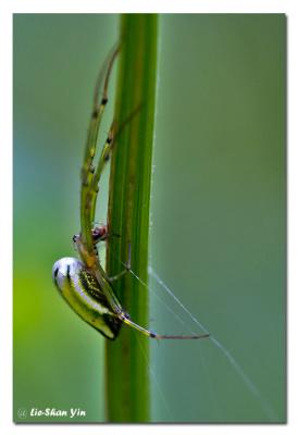 CRW_0238