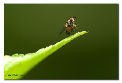 CRW_0249