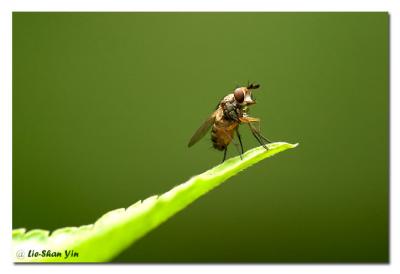 CRW_0253