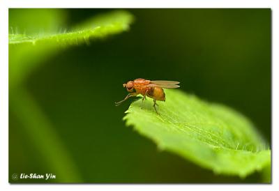 CRW_0255