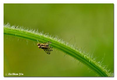 CRW_0257