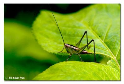 CRW_0260