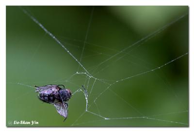 CRW_0284