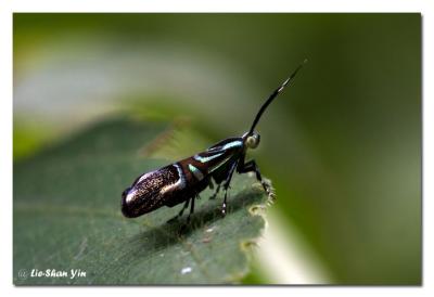 CRW_0297