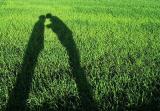 Turnhout / Kempen (Belgium) - (26.5.2002) Turnhouts Vennengebied - Roodhuisstraat/Ravels Kamp - Shadow kissing