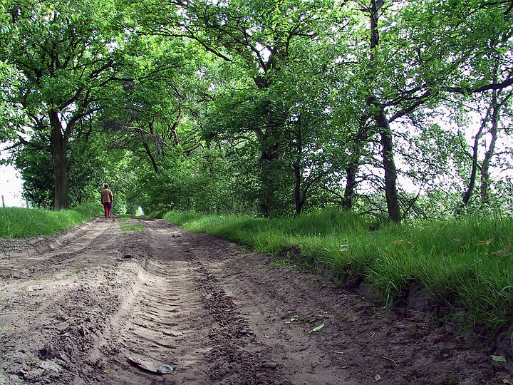 Turnhout / Kempen (Belgium) - (28.5.2002) - Omgeving Hoge Heide