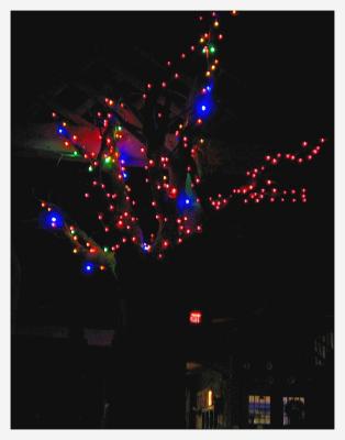 Maple Tree Light Art
