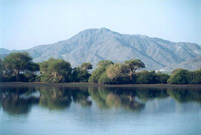 Creek - Kalba, U.A.E.
