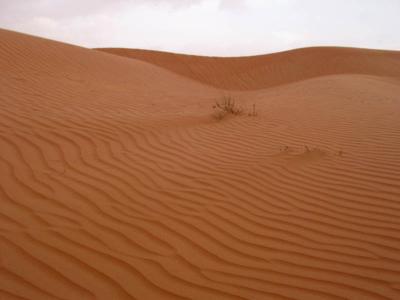 desert