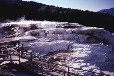 Mammoth Hot Springs