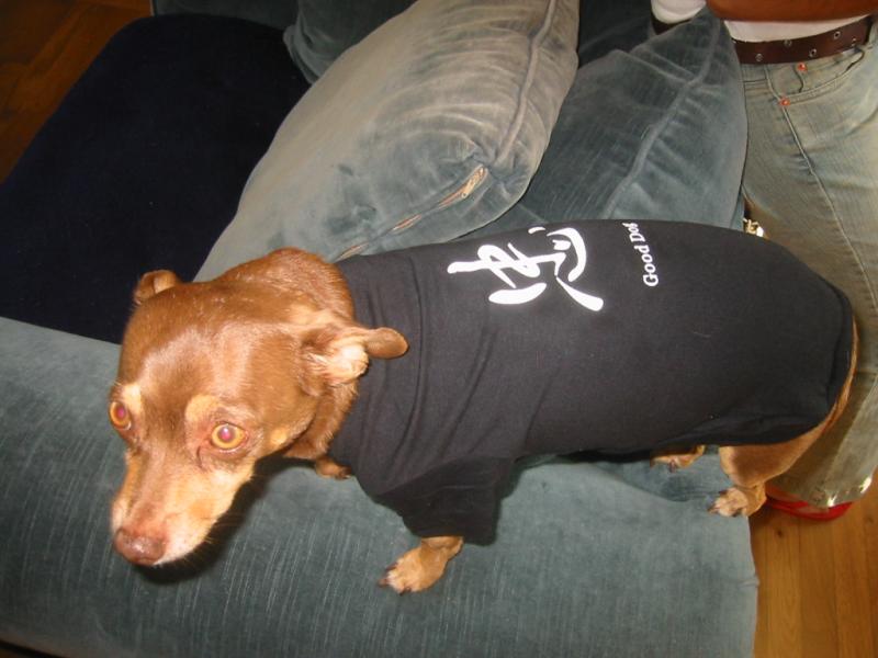 Foiled again - Im wearing the damn shirt
