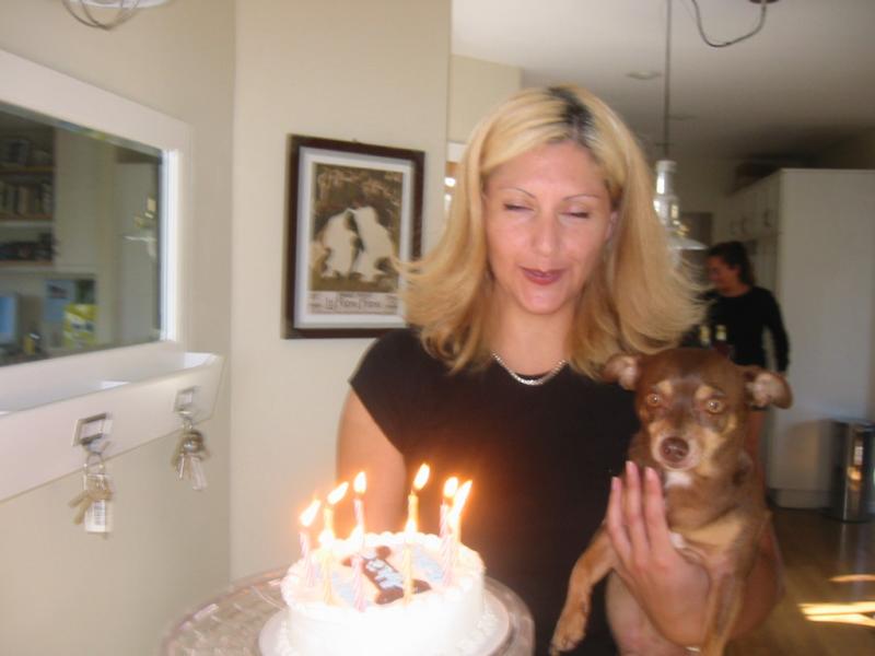 Calling Animal Precincts Annemarie...Chihuahua in trouble here