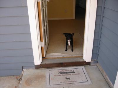 out the back door