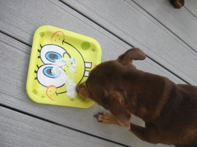 3 seconds later: the plate is clean!