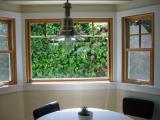 more dining room